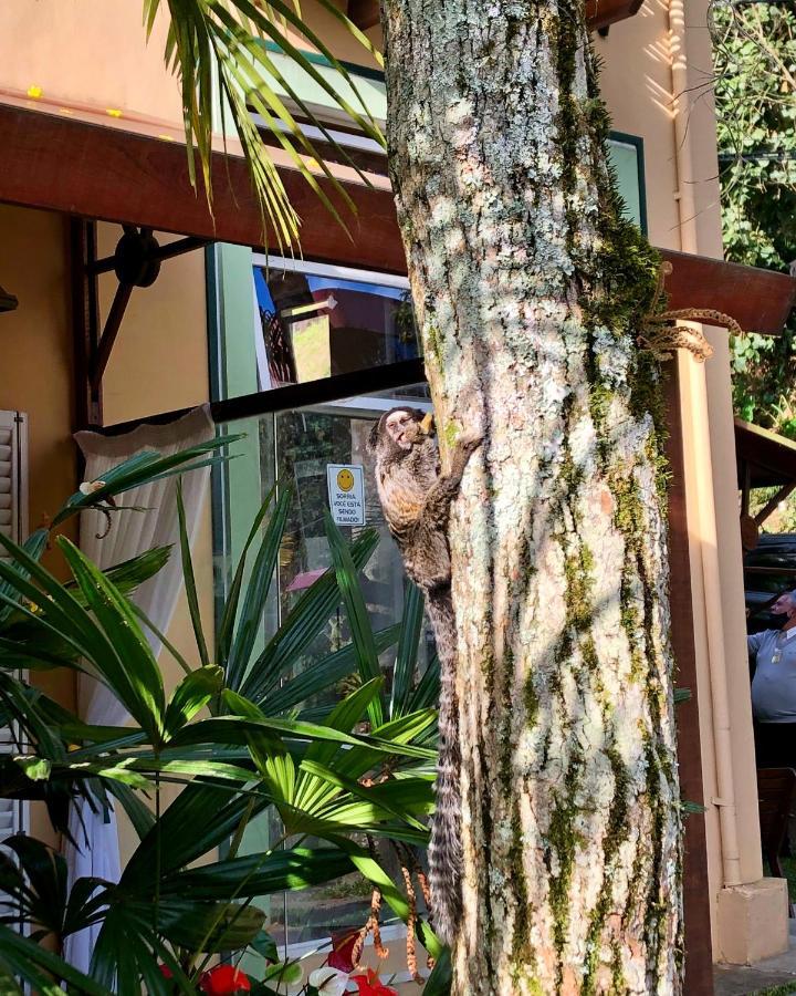 Pousada Pataca De Prata - Pousada De Epoca Petrópolis Exterior foto